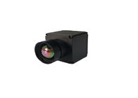 Peso ligero compacto termal de la cámara de vídeo de la VOZ RS232 384X288